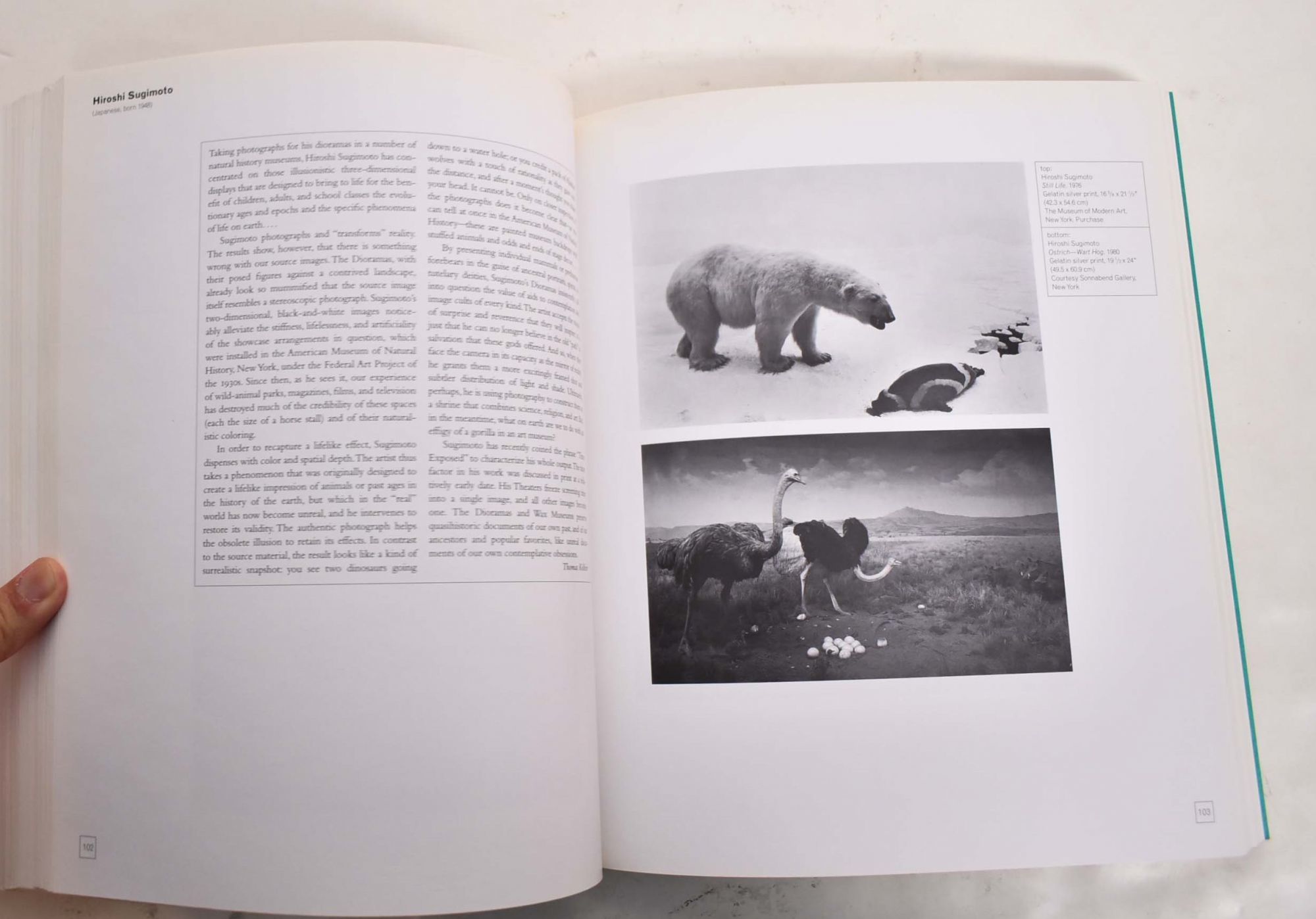 The Museum as Muse: Artists Reflect by McShine, Kynaston