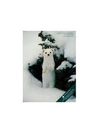 cover of Living in the Environment: An Introduction to Environmental Science