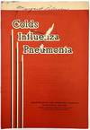 Colds Influenza Pneumonia