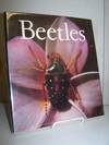 Beetles.
