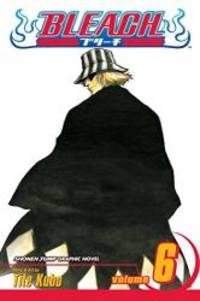 image of Bleach, Vol. 6