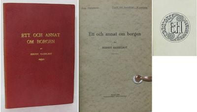 Ett och annat om borgen.
