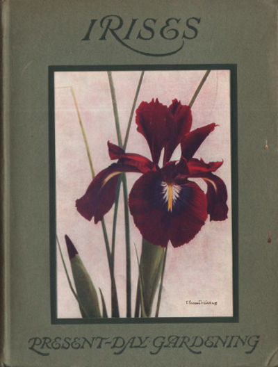IRISES.
