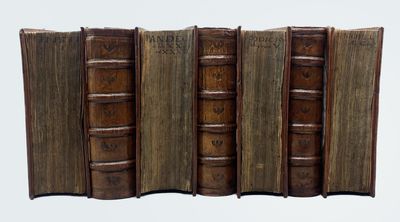 Ivs Civile Manvscriptorvm Librorvm...