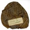 View Image 5 of 5 for The key to Hollywood: art’s birthday; New York Corres Sponge Dance School of Vancouver. February 2... Inventory #100633