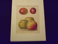 The Fruit Grower's Guide: Apples.