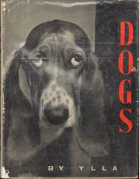 image of DOGS