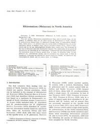 Rhizomnium (Mniaceae) in North America.