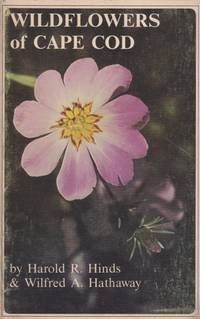 Wildflowers of Cape Cod