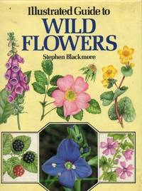cover of Illustrated Guide to Wild Flowers