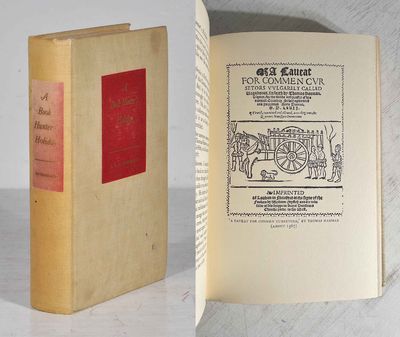 A book hunter’s holiday. Adventures with books…