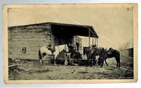 (Real Photo postcard)  Cowboys with Horses and Store