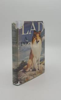 image of LAD A Dog
