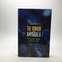 THE HUMAN AMYGDALA.