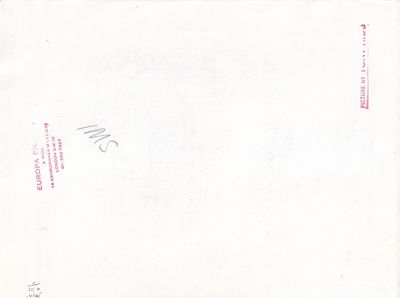 Vintage oversize photograph of Patti D'Arbanville, circa 1970s by Patti