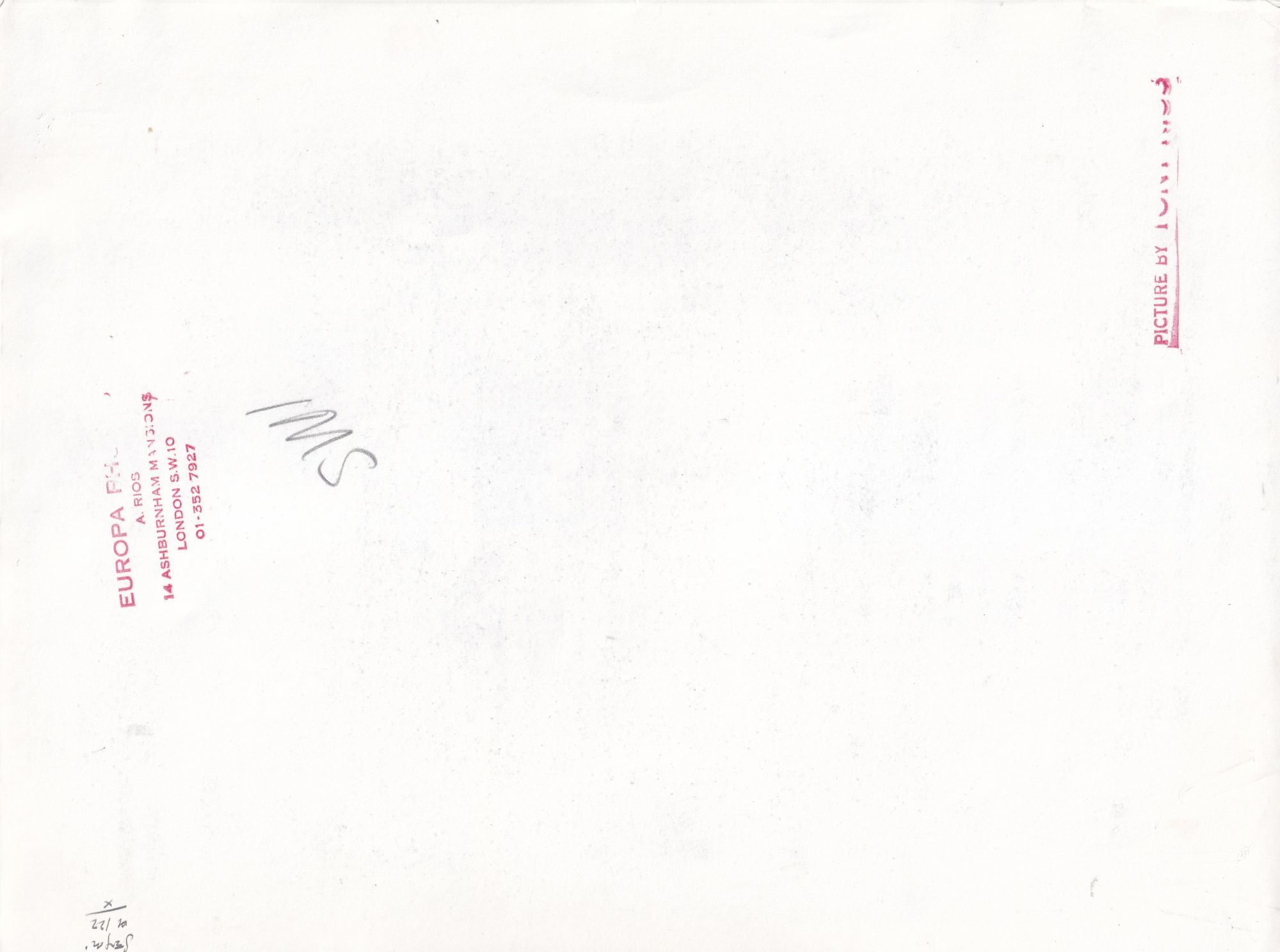 Vintage oversize photograph of Patti D&rsquo;Arbanville, circa 1970s by Patti