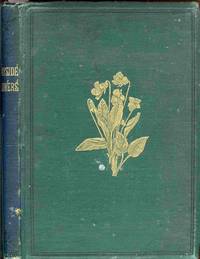 image of Wayside Flowers. Chromolithographed By L. Prang & Co.