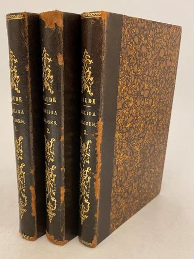 Hemliga polisen under tredje kejsardömet. Minnen…