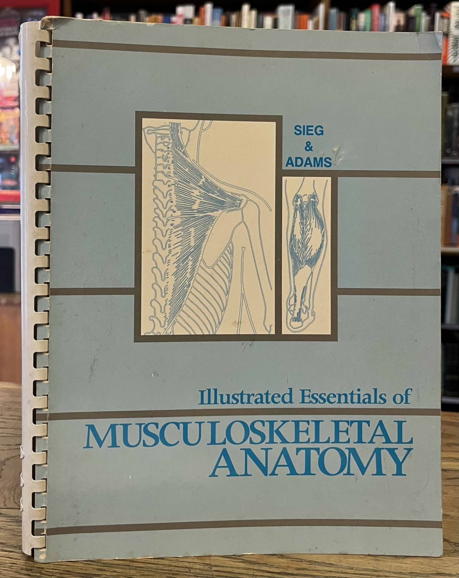 Illustrated Essentials of Musculoskeletal Anatomy by Sieg, Kay W ...