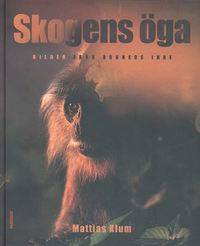 Skogens öga. Bilder från Borneos inre.