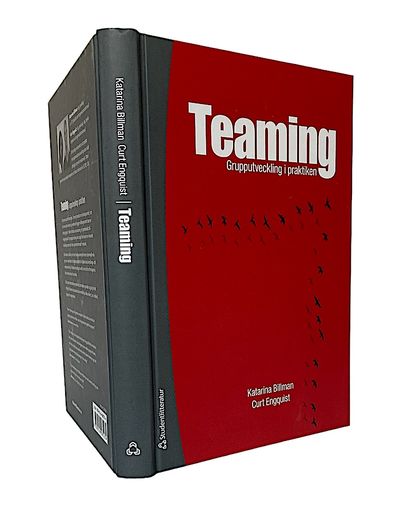 Teaming. Grupputveckling i praktiken