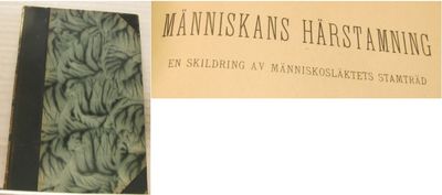Människans härstamning. En skildring av…