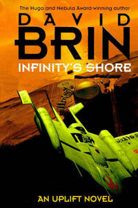 Infinity's Shore