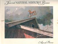 cover of An Age of Barns
