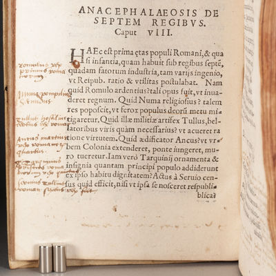 ANNOTATOR AS INDUSTRIOUS PRIVATE SCHOLAR; (photo 3)