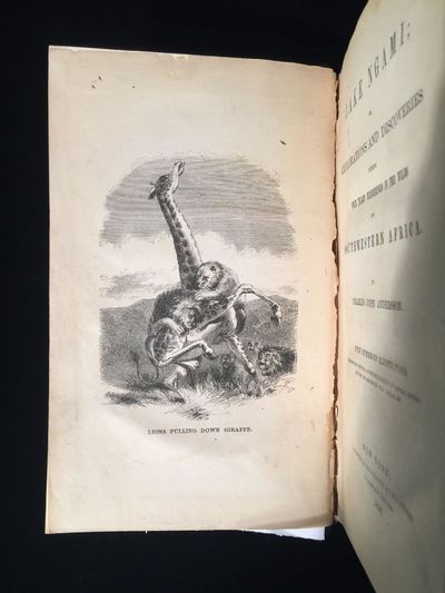 Lake Ngami; or, explorations and discoveries during four years’ wanderings in the wilds of Southwestern Africa