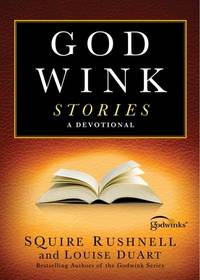 Godwink Stories : A Devotional