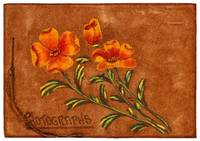 [Photo Album]: California