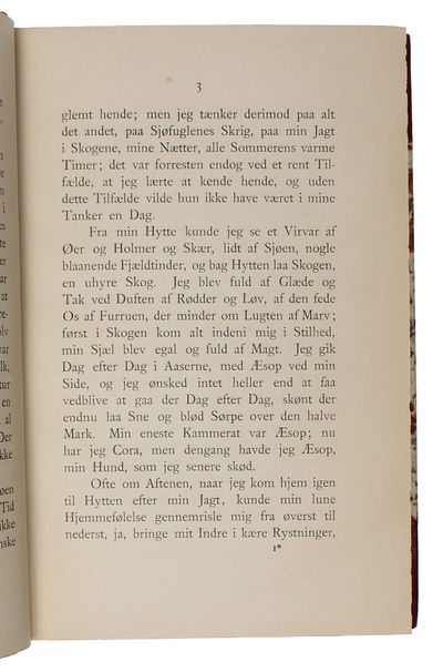 Pan. Af Løjtnant Thomas Glahns Papirer.  - [THE GOSPEL OF NEO-ROMANTICISM] (photo 4)