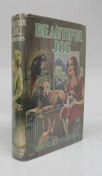 image of Beautiful Joe