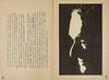 [ANTI-COLONIAL LITERARY JOURNAL FROM...; (photo 3)