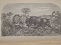 MISSIONARY TRAVELS AND RESEARCHES IN SOUTH AFRICA