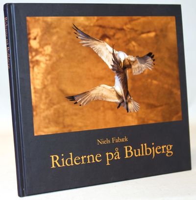 Riderne på Bulbjerg.