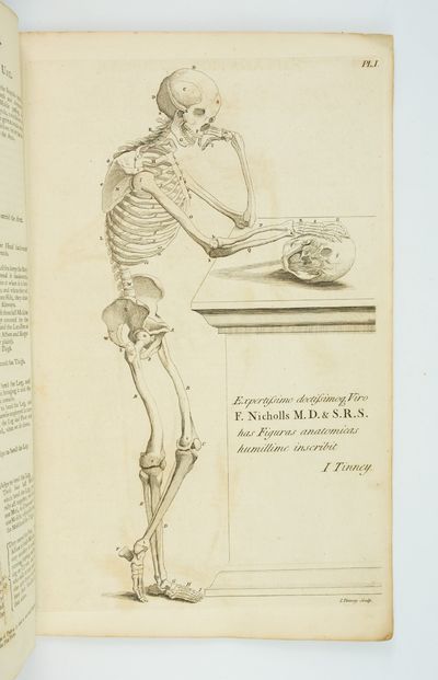 A COMPENDIOUS TREATISE OF ANATOMY, ADAPTED TO THE ARTS OF DESIGNING, PAINTING, AND SCULPTURE: ON EIGHT FOLIO COPPER PLATES
