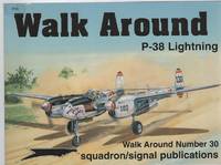 P-38 Lightning - Walk Around No. 30.