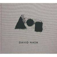 David Nash: Pyramids Rise, Spheres Turn and Cubes Stand Still