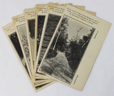 [Early Promotional Photographic Postcards for Hammond, Louisiana]