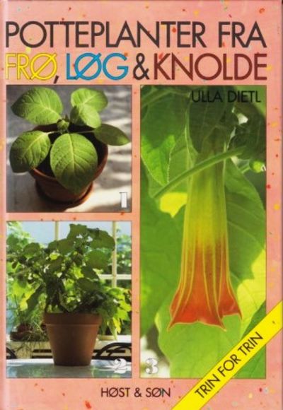 Potteplanter fra frø, løg og knolde