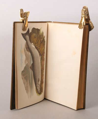 The Sporting Fish of Great Britain with Notes on Ichthyology. Illustrated by Sixteen Lithographs of Fish in Gold, Silver, and Colours. (photo 2)