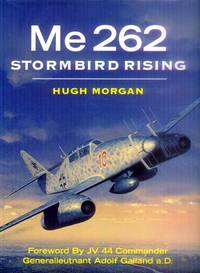 Me 262; Stormbird Rising