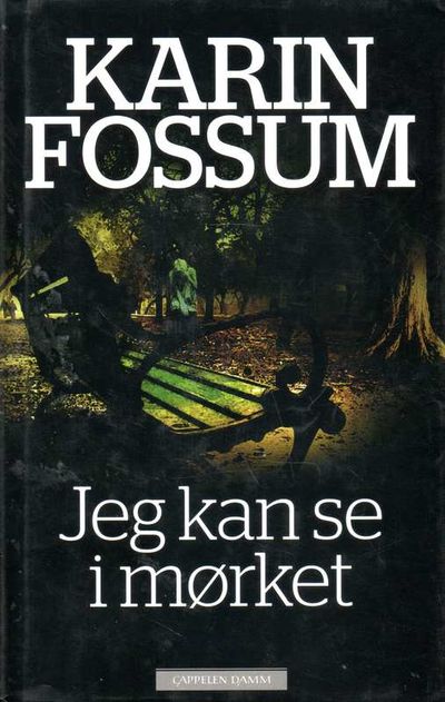 Jeg kan se i mørket.
