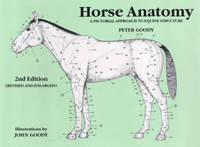 Horse Anatomy 2e