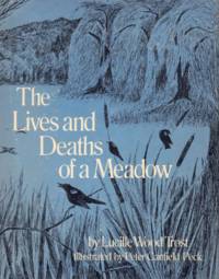 The Lives and Deaths of a Meadow