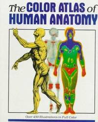 Color Atlas of Human Anatomy