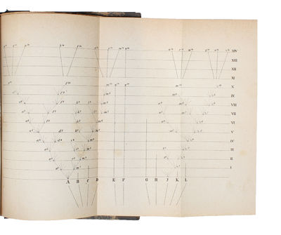 Kinetische Theorie des Wärmegleichgewichtes und den zweiten Hauptsatzes der Thermodynamik. - [EINSTEIN'S THIRD PAPER] (photo 2)