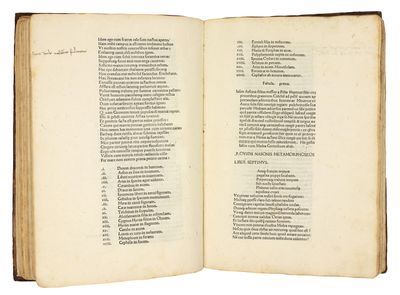 Metamorphoses. Ed. Barnabas Celsanus